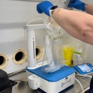 Teurasruhon pintasively *salmonella*